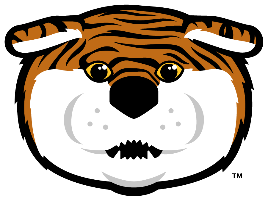 LSU Tigers 2013-Pres Mascot Logo v4 DIY iron on transfer (heat transfer)